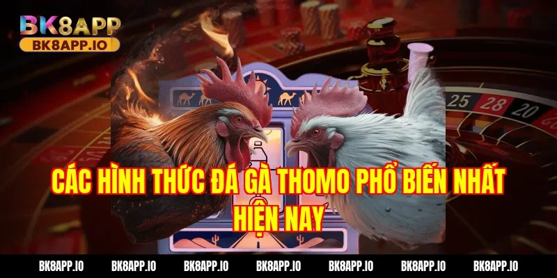 Các Hình Thức Đá gà thomo Phổ Biến Nhất Hiện Nay