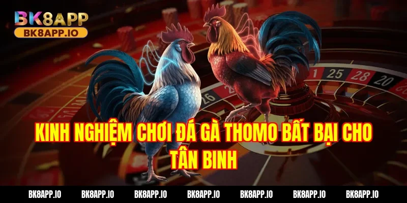 Kinh Nghiệm Chơi Đá gà thomo Bất Bại Cho Tân Binh